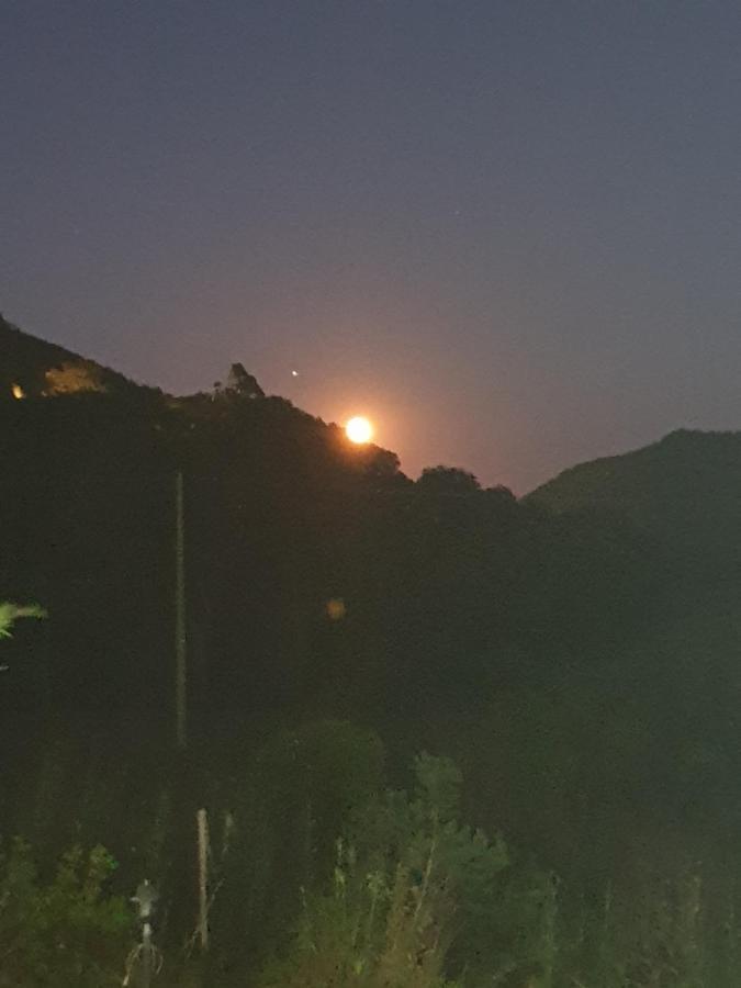 La Casa Di Artemide Affittacamere Le Venelle Rio dellʼElba Bagian luar foto