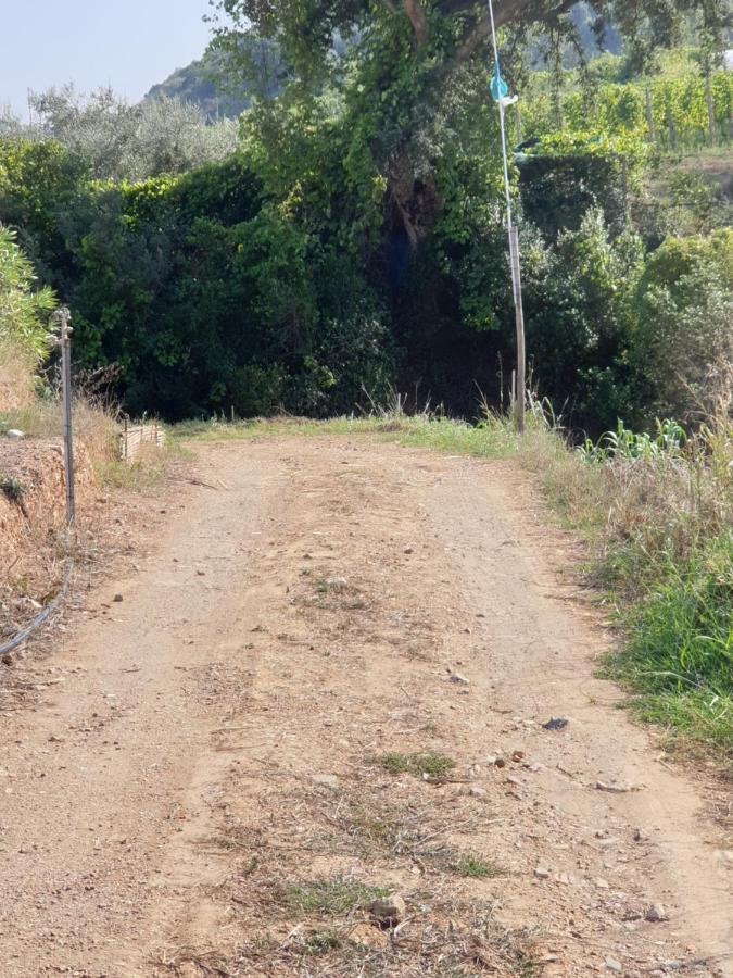 La Casa Di Artemide Affittacamere Le Venelle Rio dellʼElba Bagian luar foto